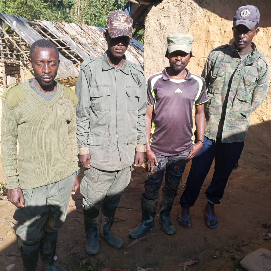 Walikale : Le mouvement NRDC/Rénové annonce une nouvelle reddition de 4 ...